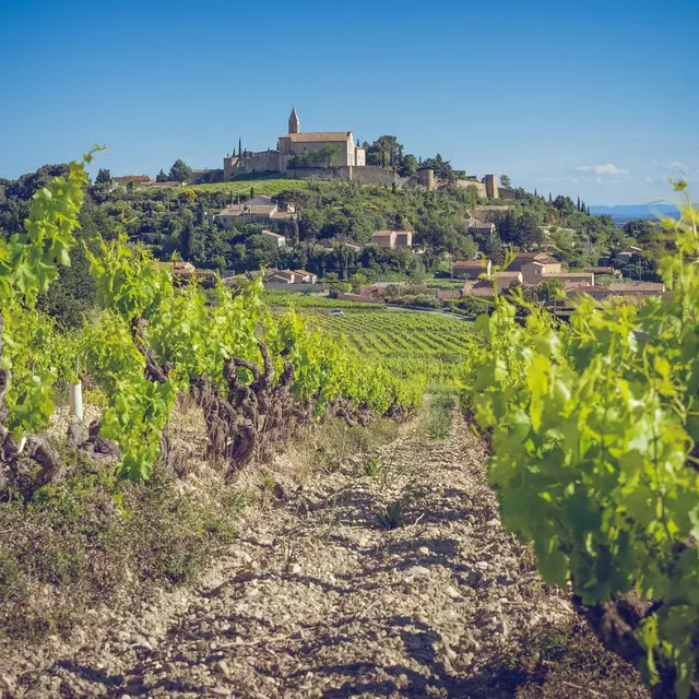 Appellation Cairanne