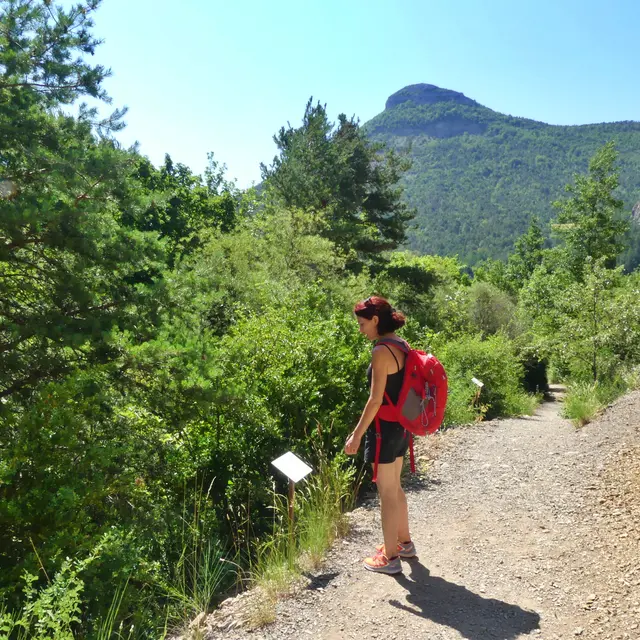 Sentier botanique d'Orpierre