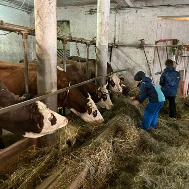 Rando à l'alpage avec traite des vaches et dégustation_Notre-Dame-de-Bellecombe