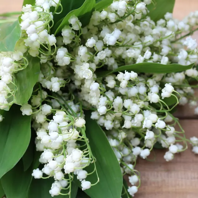 Vente de muguet et de bugnes pour le 1er mai_La Grave
