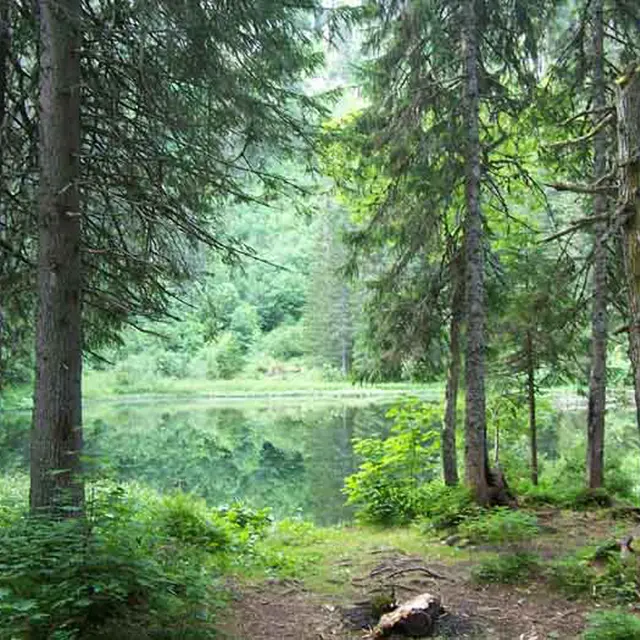 Lac de Petetoz
