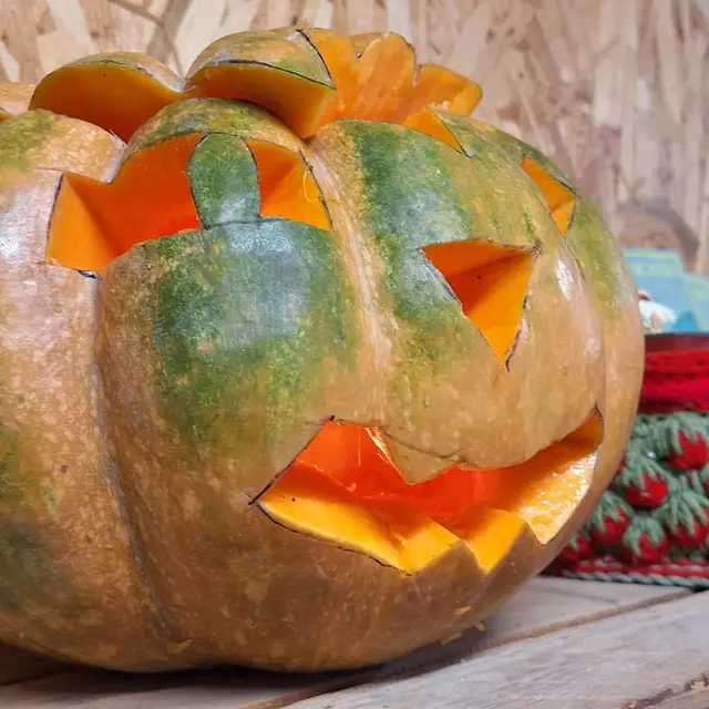 Atelier d'Halloween à la ferme Aïoli Caganis_Martigues