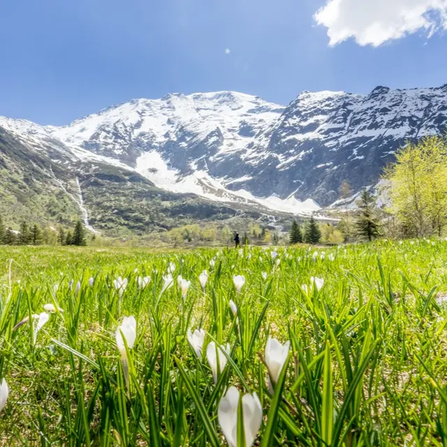 Rando Conférence : Histoire et Patrimoine du Vallon de Miage - Festival de Film Nature_Saint-Gervais-les-Bains