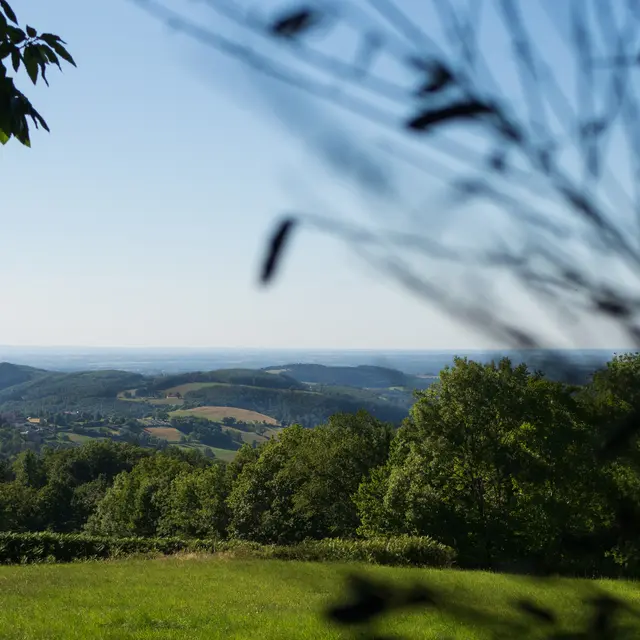 Randonnée gourmande chez un apiculteur local à Châtel-Montagne_Châtel-Montagne