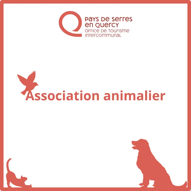 L'achat Curieux Boutique associative des Chats du Quercy_Lauzerte