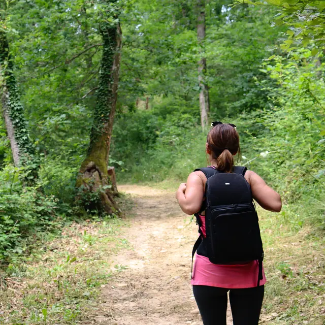 En balade à Champos et au bois de Sizay