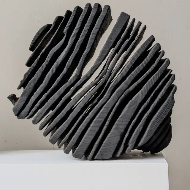 Exposition Quand le flou rencontre la ligne_Saint-Paul de Vence