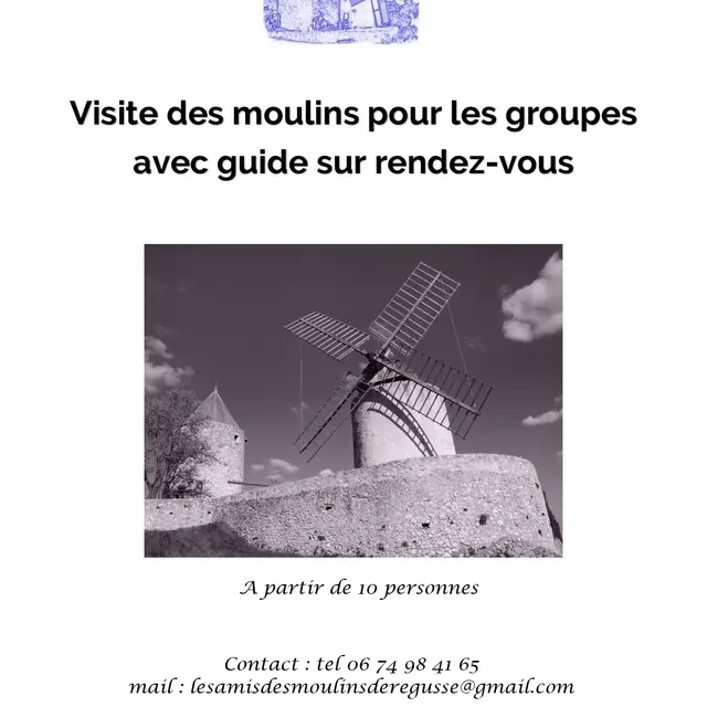 Visites commentées du Moulins pour les groupes