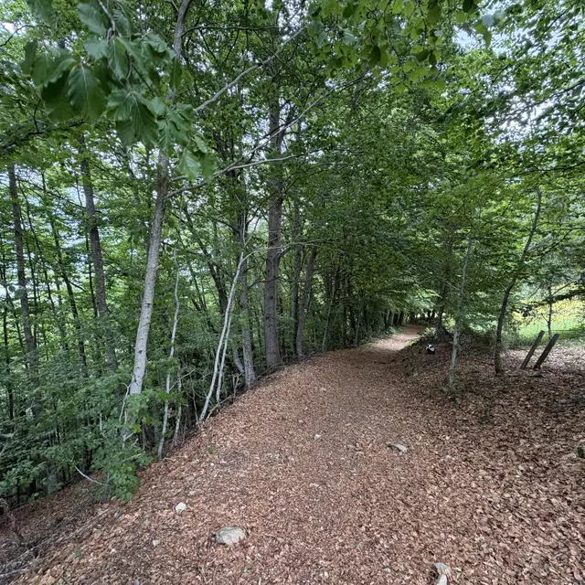 Les Chargeaoüs, Saint-Léger-les-Mélèzes