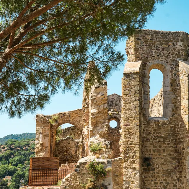 Ruines de l'ancienne église St Pons_Collobrières