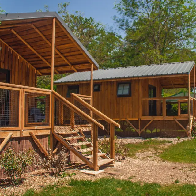 Casa home