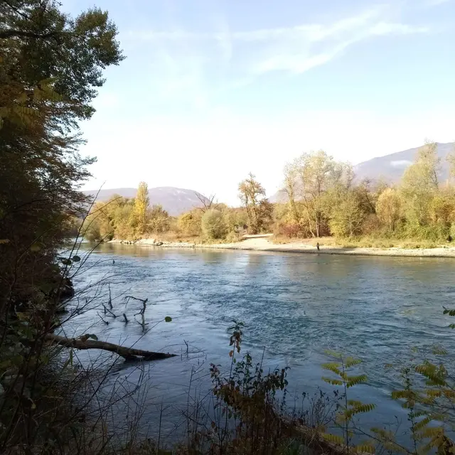 Rhone
