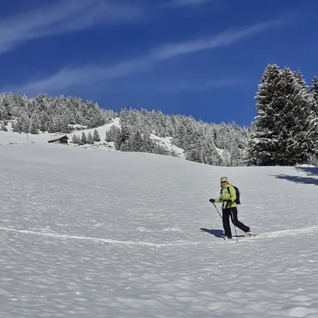 Les balcons sud de Bisanne_Les Saisies