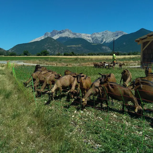 La Ferme de Meyssirat