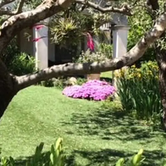 Villa Clair Matin