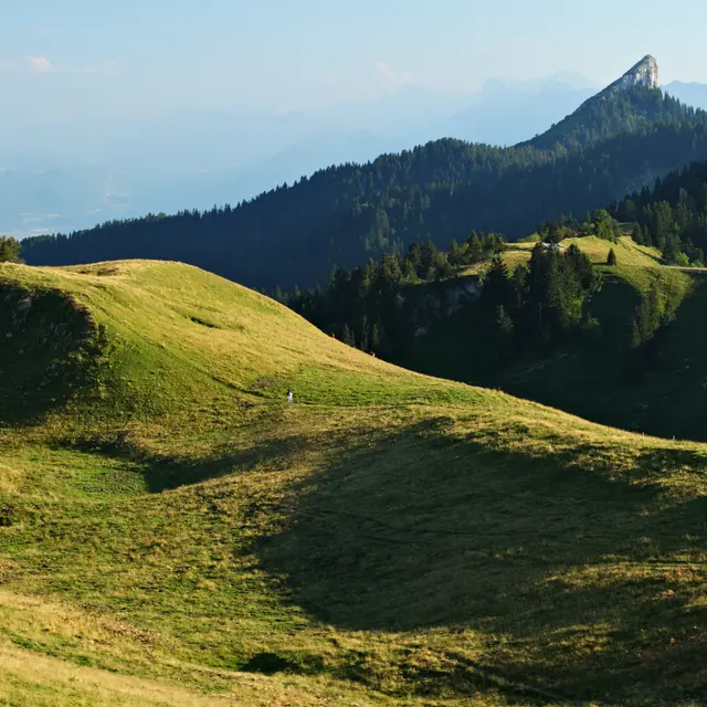 La Pinéa depuis les alpages du Charmant Som
