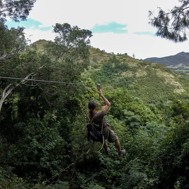 ミュージック fourleaves praivatetour in new caledonia La Belle Verte Canopy Tours (Païta) | New Caledonia Tourism