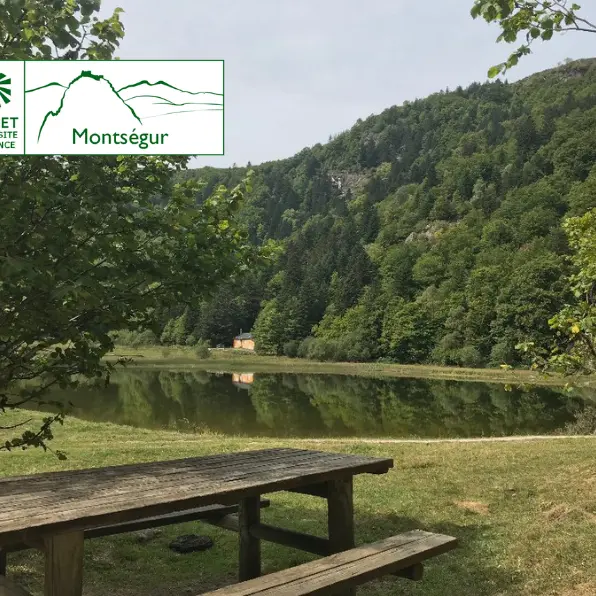 Echappée gourmande : grillades au sommet, truites et balade en pleine nature_Montferrier