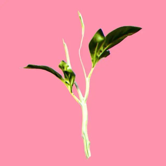 Exposition : Verdes Anos (Années Vertes)_Aix-en-Provence