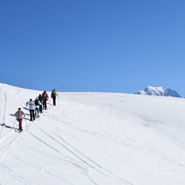 Les balcons du Mont Blanc