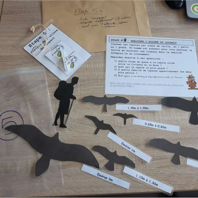 Cluedo des rapaces_Villeneuve-lez-Avignon