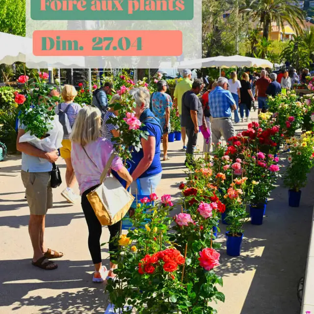 Foire aux plants_Le Lavandou
