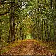 Rencontre avec ..._Le Chambon-sur-Lignon