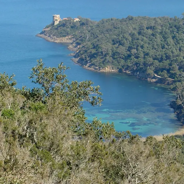 Plage de Port Man - île de Port-Cros - Hyères