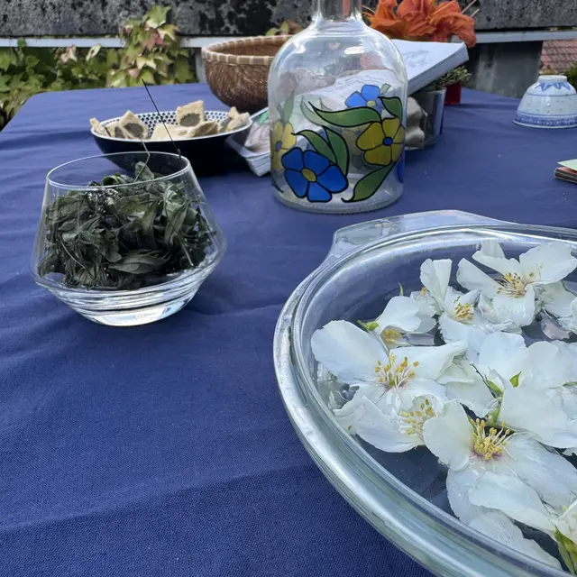 Afterwork : Apér'ô VIP au Château !_Sallanches