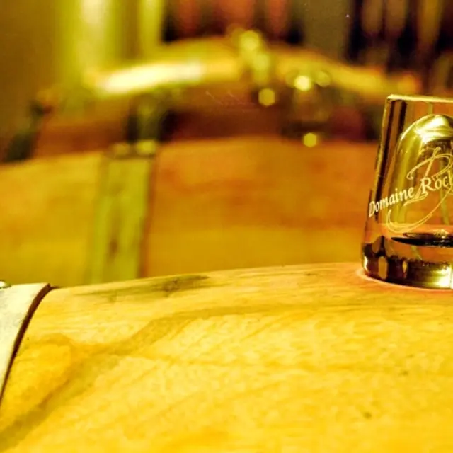 Domaine Roche-Audran_Buisson