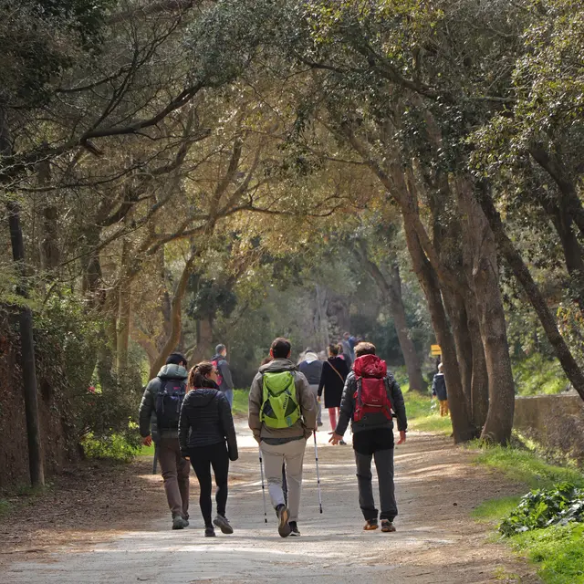 Randonneurs à Porquerolles