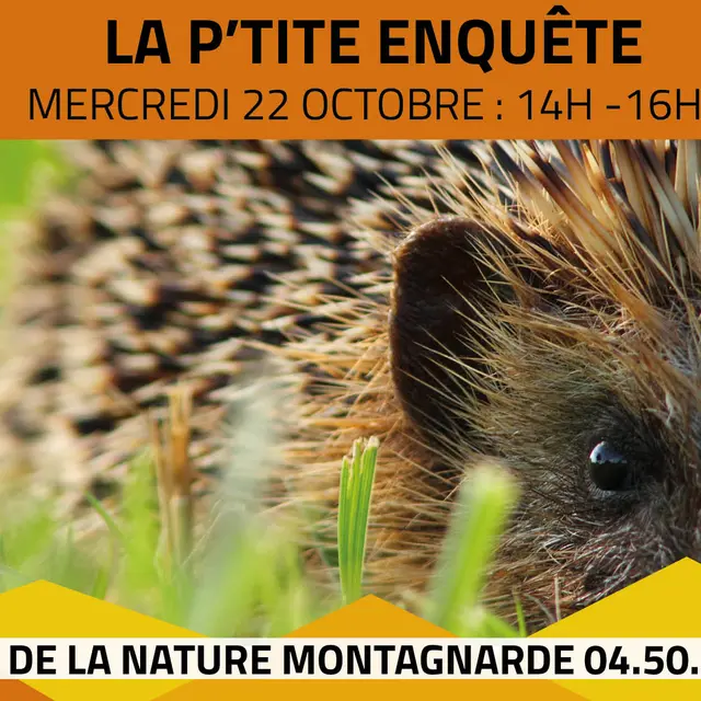 Les P'tits Experts de la Nature® - La P'tite Enquête_Sallanches