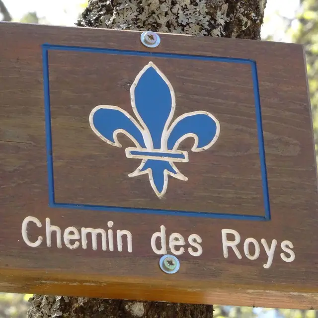 Chemin des Roys