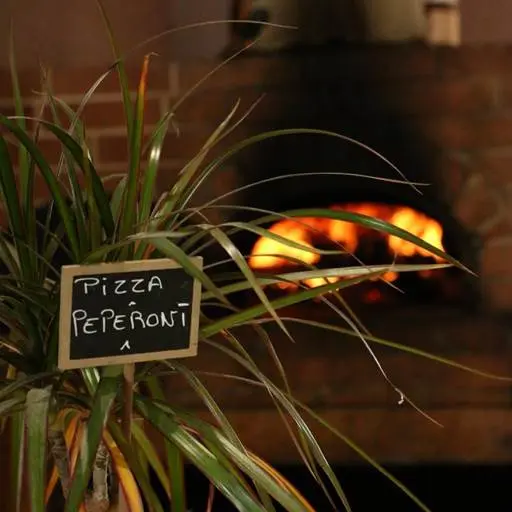 Pizza peperoni