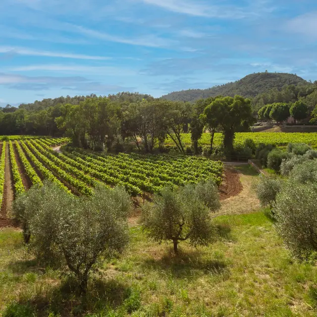 Domaine Fontainebleau en Provence - Le Val