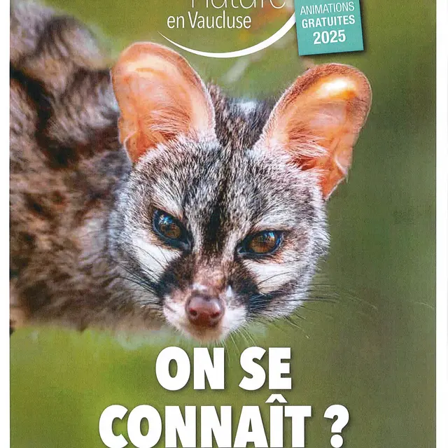 Rendez-vous Nature : Le petit peuple des Salettes._Mormoiron