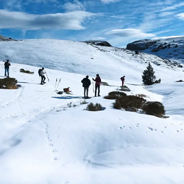 Rando raquettes sur la falaise de Ceüse