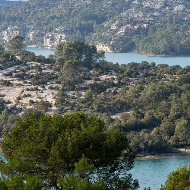 A la découverte des roselières et herbiers aquatiques_Esparron-de-Verdon