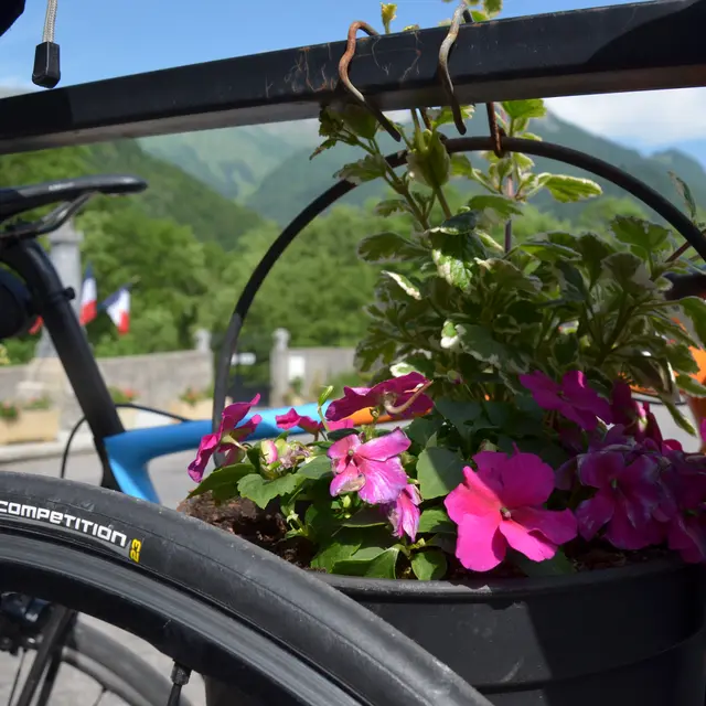 Vélo fleuri