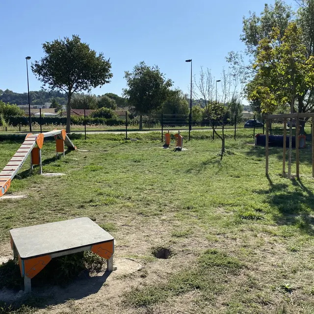 Agility : aire de jeux pour les chiens