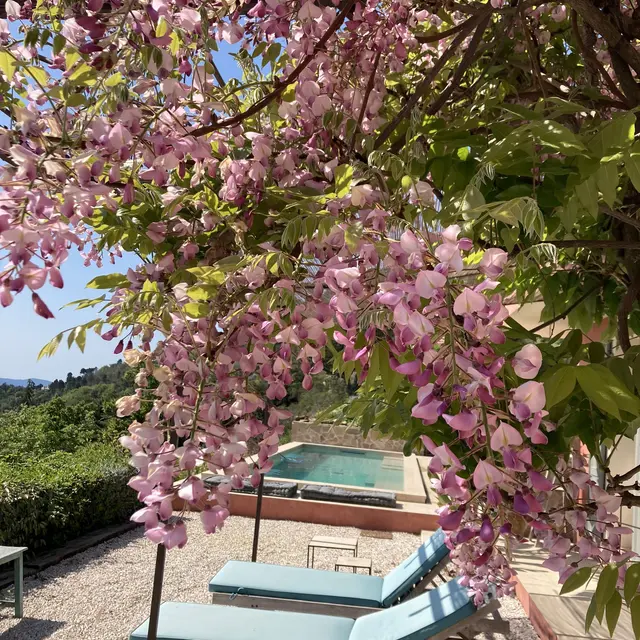 Manoir Les Roches Blanches