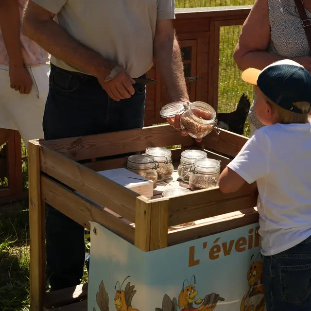 Atelier Découverte de l'apiculture_Morzine
