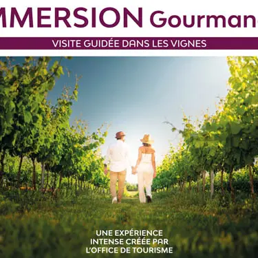 Immersion gourmande : Balade dans les vignes_Sainte-Maxime