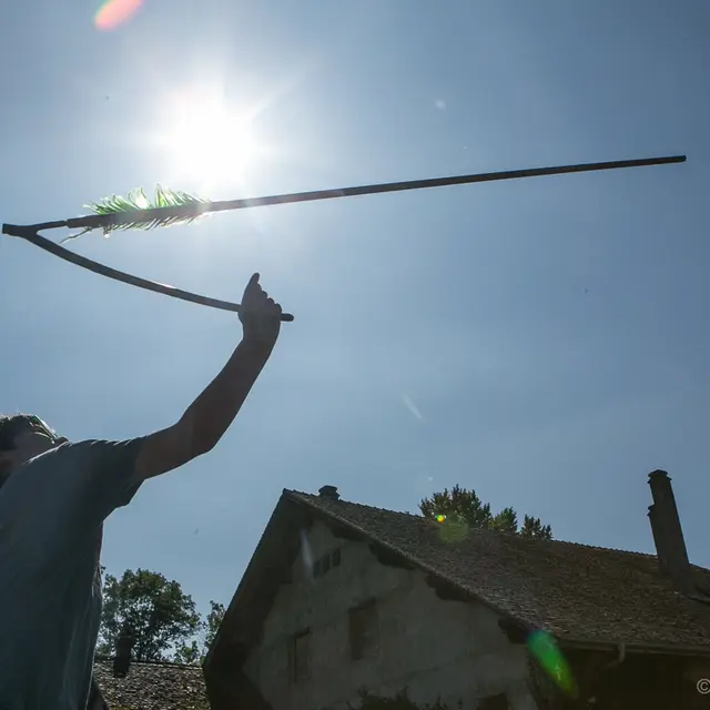 Tir au propulseur_Sciez