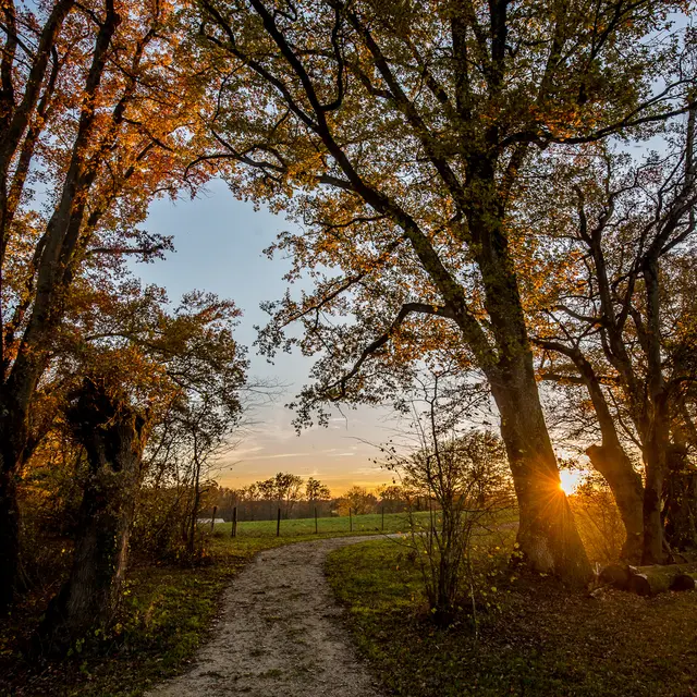 Espace naturel sensible du Sougey