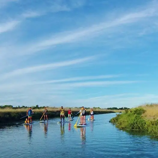 Randonnée en stand-up paddle dans les espaces naturels
