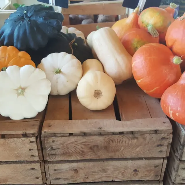 Le potager du Cabanon - Garéoult