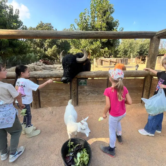Kid's camp au Ranch de la Mène_Grimaud