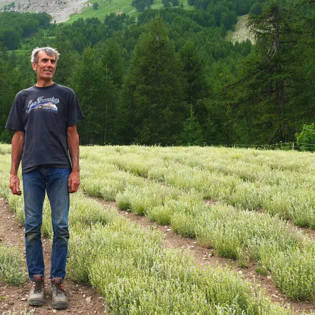 Olivier Imbert - Génépi de Haute Ubaye