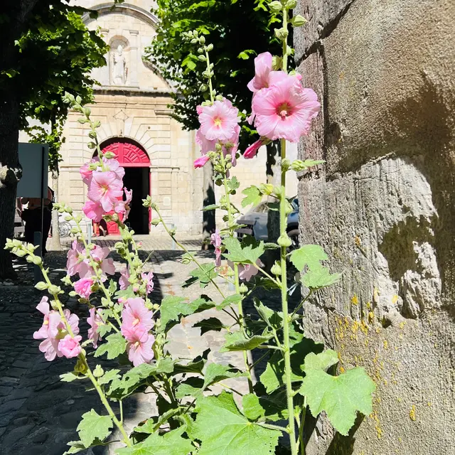 au fil de l'histoire